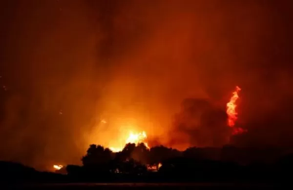 Forest fire closes in on Turkish power station (video)