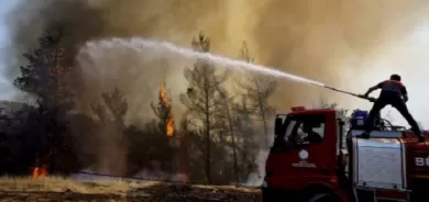 Turkey spent only fraction of forest protection budget before wildfires erupted