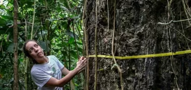 'We can't live in a world without the Amazon': scientist