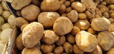 الزراعة العراقية تمنع استيراد البطاطا وتشمل إقليم كوردستان بالقرار