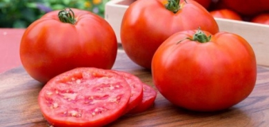 دراسة تحذر من تناول الطماطم قبل النوم مباشرة