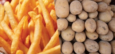 إنشاء أكبر معمل لإنتاج البطاطا المقلية في إقليم كوردستان