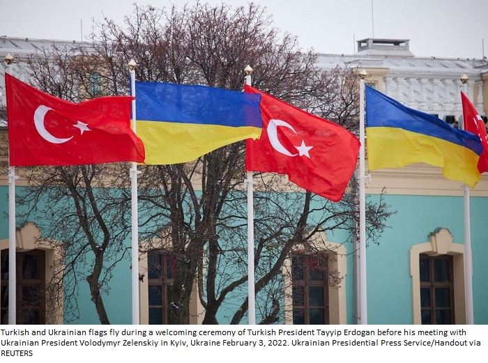 Ukraine working with Turkey, understands parallel ties to Russia -Ukrainian diplomat