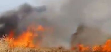 داقوق: حريق يلتهم 30 دونم من محاصيل المزارعين