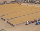 وزارة التجارة العراقية: خزين الحنطة يبلغ مليونين و50 ألف طن