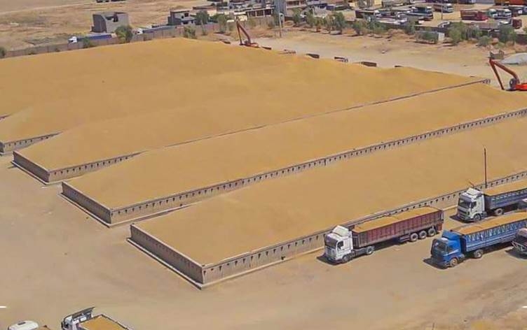 وزارة التجارة العراقية: خزين الحنطة يبلغ مليونين و50 ألف طن