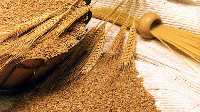 العراق يشتري نحو 150 ألف طن من القمح