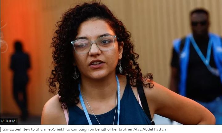 Alaa Abdel Fattah: British-Egyptian activist's family pin hopes on PM