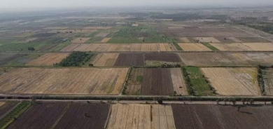 مصادرة نحو 300 ألف دونم من أراضي المزارعين الكورد في كركوك