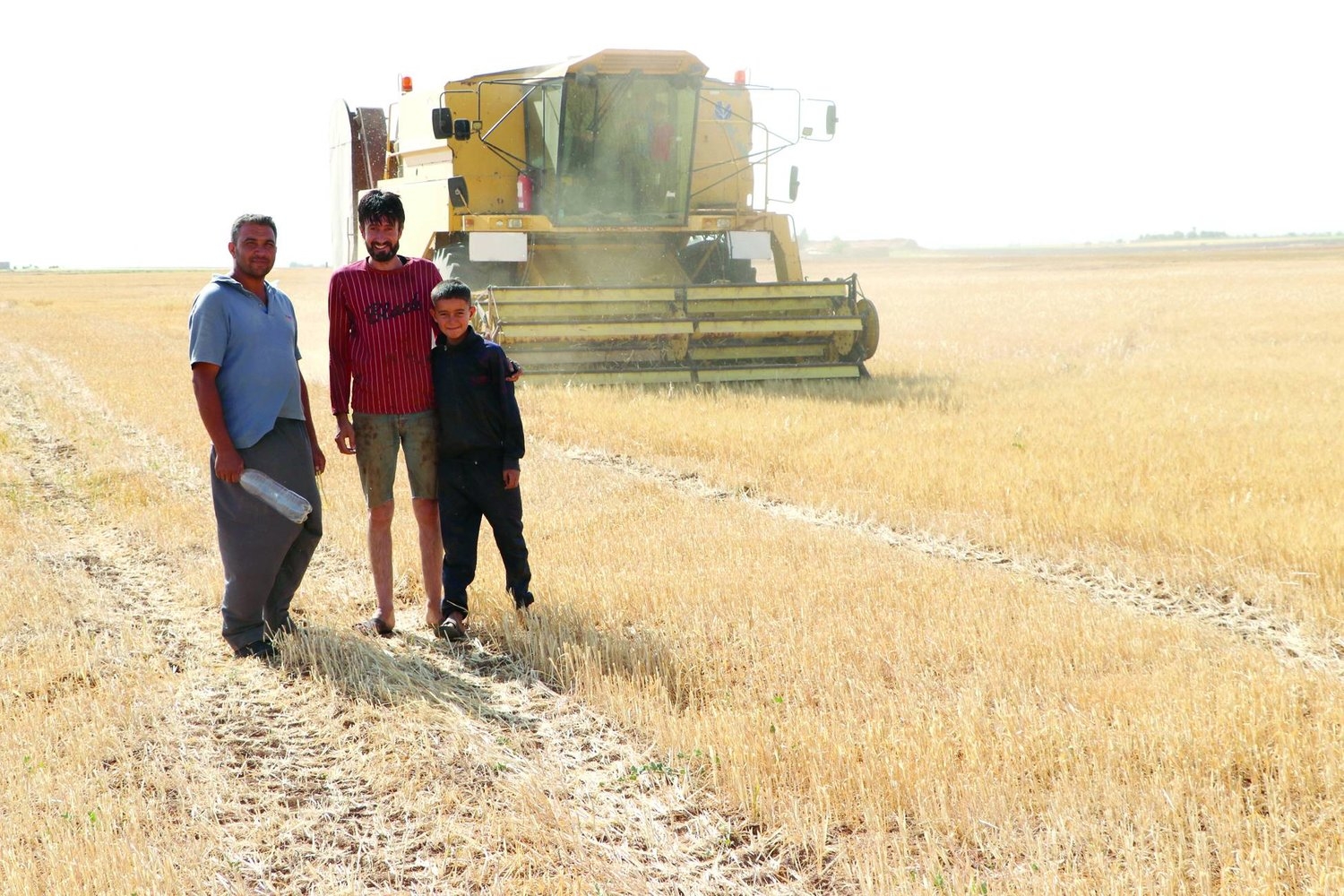 تركة الحرب تقوّض انتعاشة القمح في سوريا