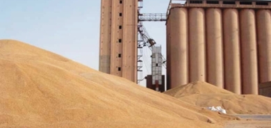 حكومة إقليم كوردستان تستلم القمح من المزارعين بنفس أسعار الحكومة الاتحادية