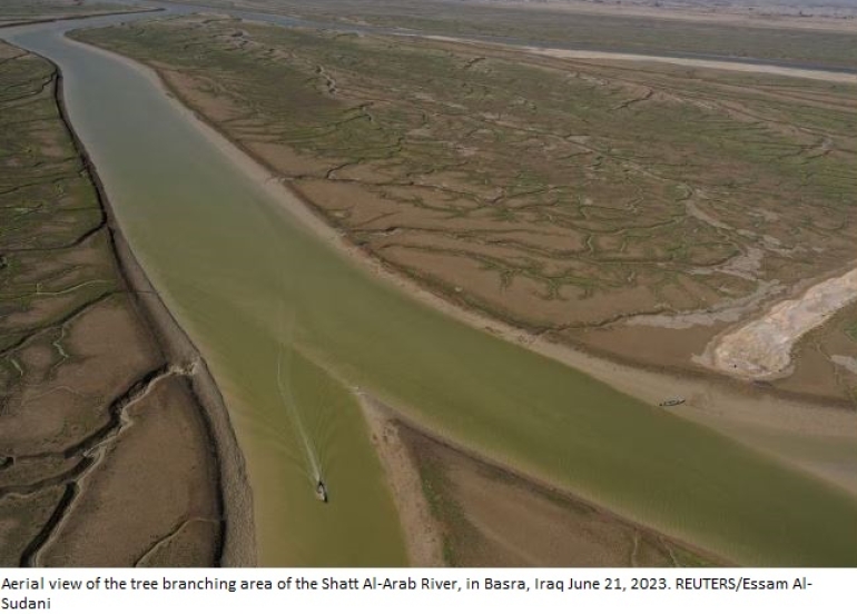 Iraq plants mangrove forest to fight climate disaster