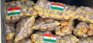 إقليم كوردستان يباشر بتصدير البطاطا إلى الإمارات