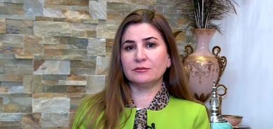 فيان دخيل: سنستدعي وزيرة الهجرة العراقية إلى مجلس النواب بسبب 