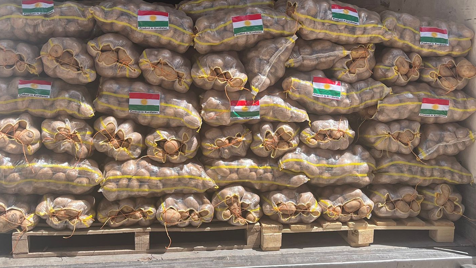 إقليم كوردستان يصدّر 1000 طن من البطاطا إلى الإمارات