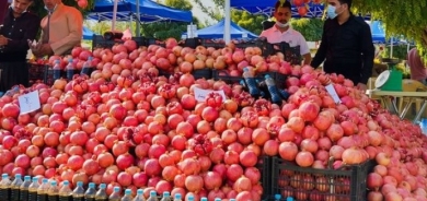 زراعة كوردستان: العمل على عشرات المنتجات الزراعية لتحوز العلامة التجارية العالمية لتصديرها