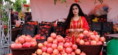 Halabja's Ninth Annual Pomegranate Exhibition Promotes Local Agriculture