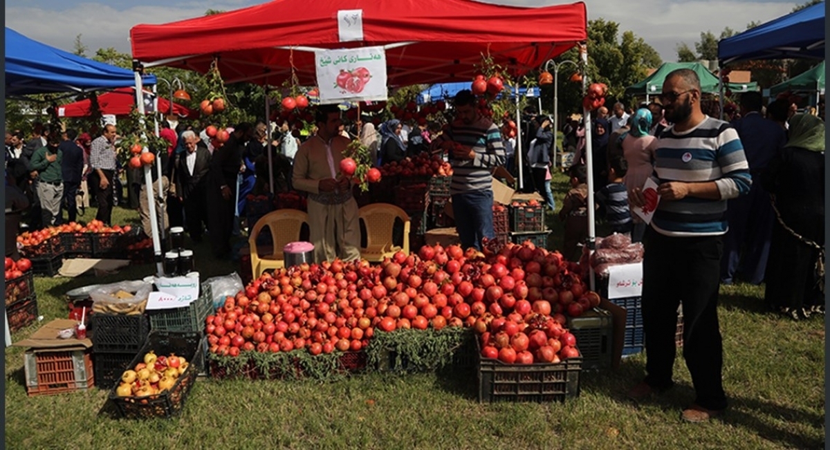 Erbil Hosts Pomegranate Exhibition to Promote Local Agricultural Products