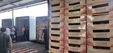 Zakho and Halabja Pomegranates Make Their Debut in French and UK Markets