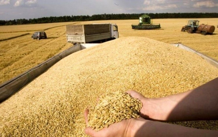 3 ملايين دونم من الأراضي لزراعة الحبوب في إقليم كوردستان
