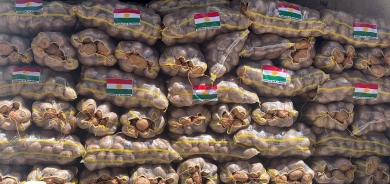 إقليم كوردستان يُصدّر 12 ألف طن من البطاطا إلى مدنٍ عراقية