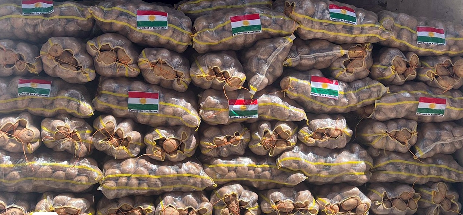 إقليم كوردستان يُصدّر 12 ألف طن من البطاطا إلى مدنٍ عراقية