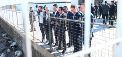 Erbil Governor Takes Strides in Controlling Stray Dog Population and Enhancing Animal Welfare