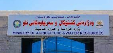بطلب من مزارعي الوسط والجنوب.. إقليم كوردستان يحظر استيراد الطماطم إلى إشعار آخر