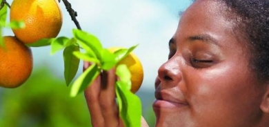 باحثون: رائحة الفاكهة الناضجة قد توقف نمو الخلايا السرطانية !