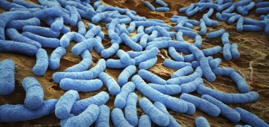 باحثون: ميكروبات «مصاصة للدماء» قد تشكّل خطرا لمرضى الجهاز الهضمي !