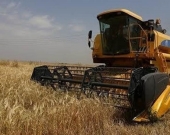 Kurdish Farmers Mobilize Against Iraqi Army's Crop Harvesting Ban in Kirkuk