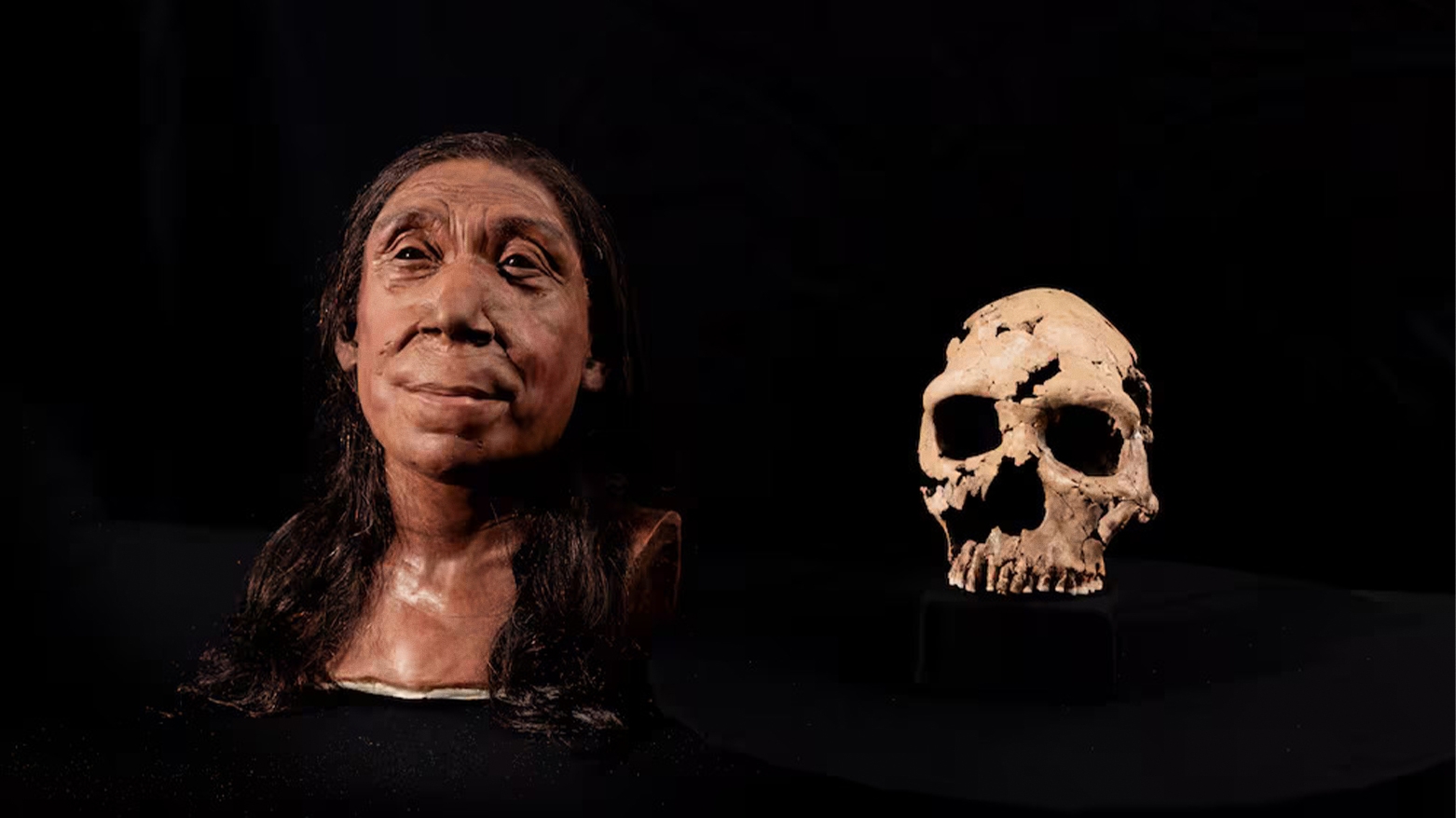 Nîşandana skeleta Neandertal a bi navê Shanidar Z deng veda