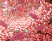 اكتشاف كائنات حية تتغذى على الدهون في الأمعاء تعزز السرطان !