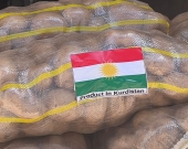 مدير عام زراعة أربيل: سنزيد صادرات البطاطس هذا العام ثلاثة أضعاف