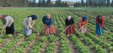 في اليوم العالمي للمرأة الريفية