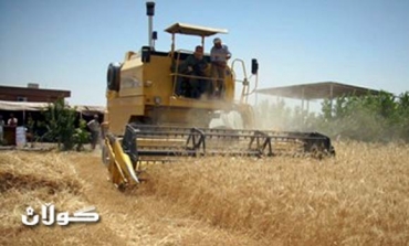 Wheat and barley production drops 20% this year