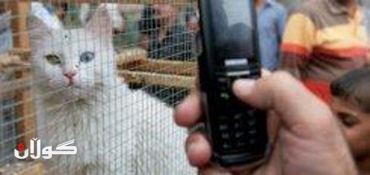 Cat caught smuggling cell phones into Russian jail