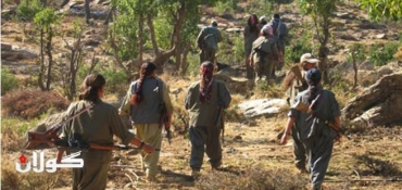 Turkish police crackdown may hurt Kurdish peace process: PKK