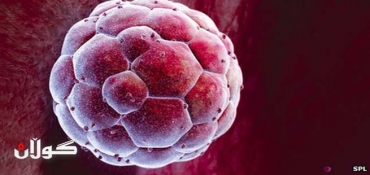 Embryonic stem cells: Advance in medical human cloning
