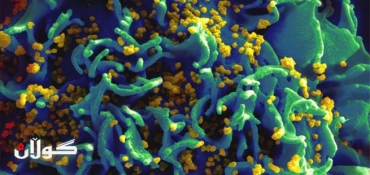 First documented case of child cured of HIV
