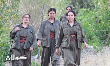 Turkish forces kill 8 PKK elements in clash